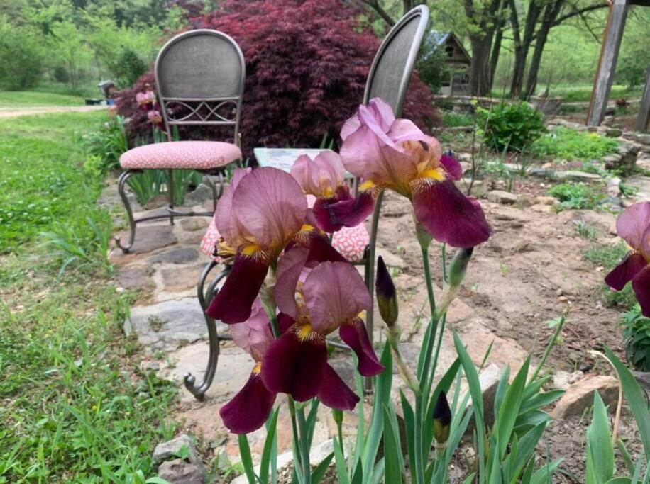 The Perch At Bluebird Estate Apartment Batesville Bagian luar foto